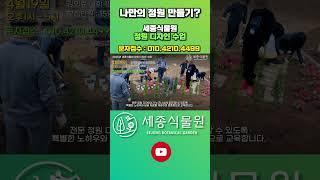 세종식물원 정원 디자인수업 수강생 모집중 #정원 #가드닝 #식물 #정원꾸미기 #정원디자인 #정원만들기