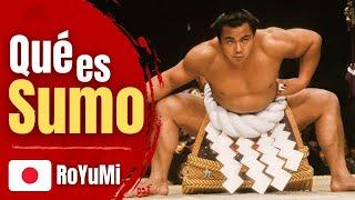 What is Japanese Sumo | Culture in Short