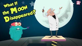 What If The MOON Disappeared? | Space Video | Dr Binocs Show | Peekaboo Kidz