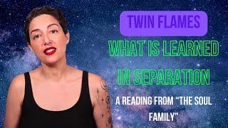 Twin Flames: What is Learned in Separation