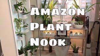 Indoor Plant Set up w Amazon Products / Decorate Your Home With Houseplants / Small Space Décor