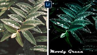 Professional Lightroom Photo Editing | Moody Green Free DNG Preset