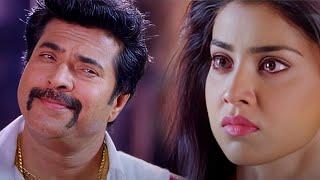 Pokkiriraja Malayalam Full Movie | Mammootty | Prithviraj | Shriya Sharan | Vaisakh | Jassie Gift