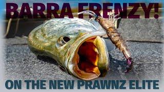 Fishing the ZMan PrawnZ Elite - Weipa Adventure Day One - Barramundi, Fingermark, Black Jewfish...