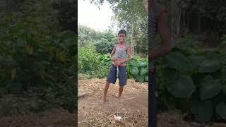 jharkhandi Dance Hindi video song HD dj kamo Ray