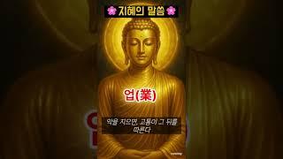업보 #중년 #노년 #인생조언 #부처님 말씀