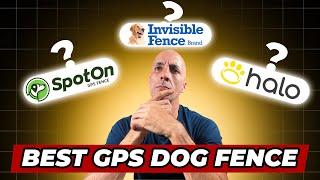 Best GPS Dog Fence: Don’t Waste Your Money on the Wrong One!