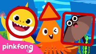 Learn Shapes with Squid & Baby Shark ◾️ |+Compilation | Pinkfong Shape Songs for Children