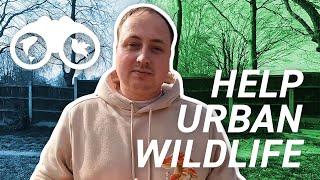 How Can We Help Urban Wildlife? | Ways YOU can help PROTECT Animals!