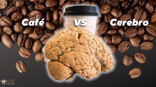 ¿Sabes qué le hace el café a tu cerebro? | Instituto de la Anatomía Humana