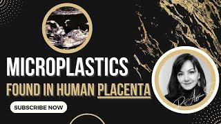 Microplastics found for the FIRST TIME in HUMAN PLACENTA! | Dr. Ayguen Sahin, MSc, PhD