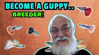 Become A Guppy Breeding Pro: How To Breed Prize-winning Fish!