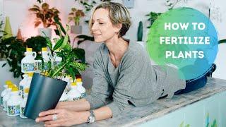 When & How To Fertilize Plants    Plant Food I Use & Recommend