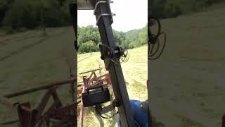 Grateful Moment on the Farm