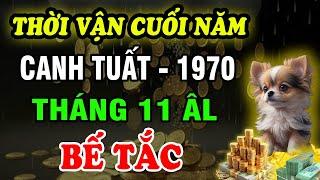 Tử Vi Tháng 11 ÂL, Tuổi Canh Tuất 1970: Nhiều Điều Bế Tắc, Hóa giải thế nào?