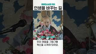 인생을 바꾸는 길 청화스님