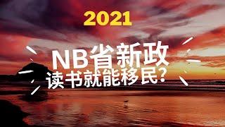 2021加拿大NB省新政解析｜移民加拿大｜留学加拿大｜Rona实话实说加拿大