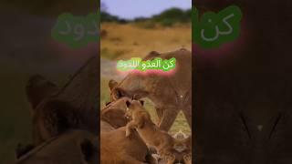 الخيانة ليست من شيم الرجال. #حكم #اكسبلور #خواطر#fyp  #اقتباسات #viral #motivation #shorts