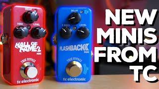 CUTE BUT MIGHTY! TC Electronic Hall of Fame 2 Mini & Flashback 2 Mini (Demo)