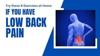 Low Back Pain Exercises |Best Exercises for Low Back pain |@DrAimanUbaid