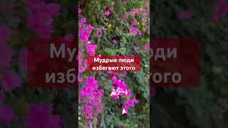 Мудрость на века #мысли #любовь #жизнь #суета #одиночество #мудрыеслова #мир