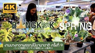 9th Bangkok International Exotic Plants 2025 งานบางกอกพรรณไม้นานาชาติ ครั้งที่ 9 バンコク国際外来植物ショー & セール