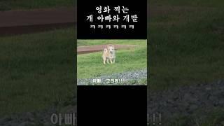 분리불안 심각한 강아지 아빠...ㅋㅋㅋㅋㅋ#믹스견 #뽕이