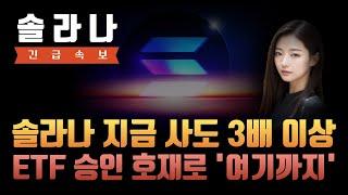 [솔라나 전망] 솔라나 지금 사도 3배 이상 먹는다 ETF 승인 호재로 여기가지 폭등할 것