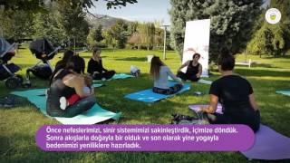 LOTUS GEBE YAZA VEDA YOGA BULUŞMASI (SEKAPARK)