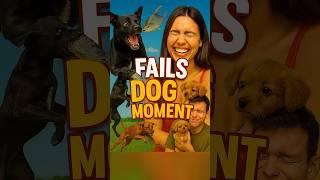 These Dog Fails Are Now Works of Art  #funny #funnyanimals #fails