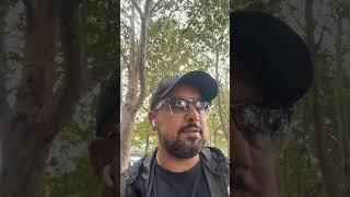بالای ۹۰ درصد وین ریت از ترید