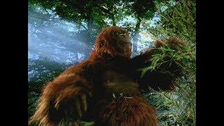 TRILOGY OF LIFE - Walking with Cavemen - "Gigantopithecus"