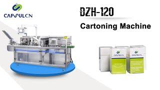 Automatic Cartoning Machine / Carton Packing Machine DZH-120