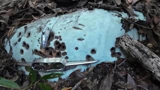 The Mystery of the Wrecked Car Deepens