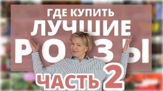 ЛУЧШИЕ ПИТОМНИКИ РОЗ 2 часть! Народный рейтинг РОЗАНОСТРЫ!  2 марта 2024 г.