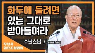 화두에 제대로 들려면 있는 그대로를 받아들여라 [수불스님 무상사 일요초청법회]