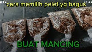 TRIK CARA MEMILIH PELET YG BAGUS BUAT MANCING