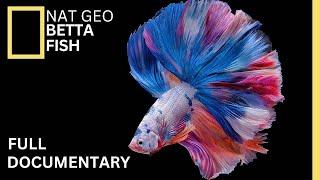 Origin of Betta Fish: A Journey into their Enchanting Origins