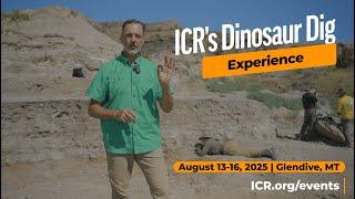 The ICR Dino Dig Experience 2025