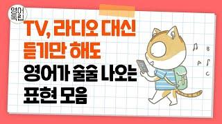 듣기만 해도 영어가 술술 나오는 표현 모음 [영어독립 365] (6시간 영상, 중간광고 없음)