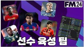 [FM24] 선수들 성장시키는 팁 ft.훈련, 멘토링등