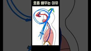 노래할 때 무조건 사용해야하는 호흡