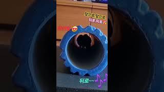 극기 훈련~ (앞으로,뒤로)