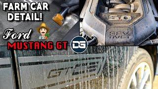 Deep Cleaning a DIRTY Ford Mustang GT...Farm Car?! | The Detail Geek