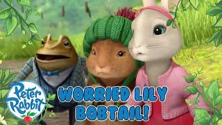 @OfficialPeterRabbit -  Outsmarting the Baddies in Their Own Backyard  | Compilation