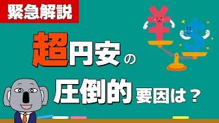 歴史的な円安はなぜ止まらない？為替の基本からやさしく解説します！