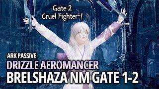 [Lost Ark]1670 Drizzle Aeromancer - Brelshaza(Narok) NM Gate 1-2