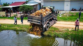 First Perfectly New Project! Landfill Delete Flooded Area, Dozer KOMATSU Push Stone with Dump Truck