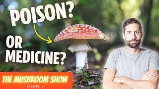 Unlocking The Secrets Of The World's Most Iconic Mushroom: Amanita Muscaria (The Mushroom Show EP 6)