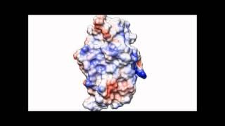 VirB8-like protein TraH is crucial for DNA transfer in Enterococcus faecalis